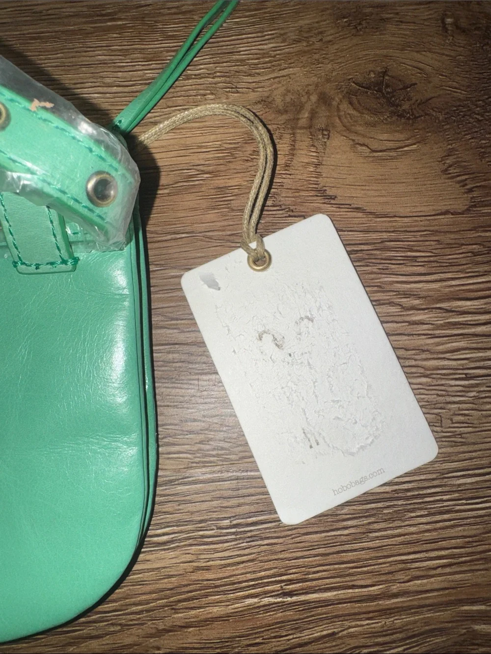 Hobo Leather Crossbody in Mint Green